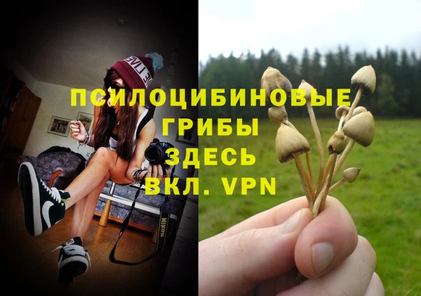 хмурый Козельск