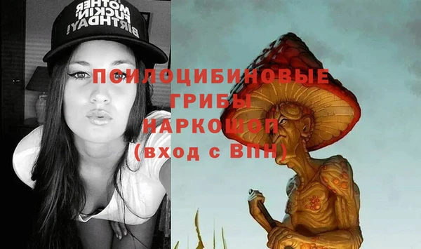 крисы Касимов