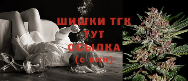 спиды Корсаков
