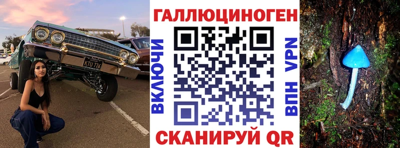 Галлюциногенные грибы Psilocybe  гидра tor  Кумертау 