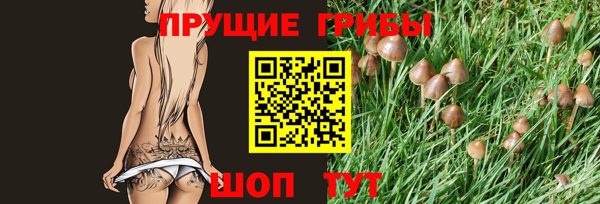 Псилоцибиновые грибы Cubensis  Псилоцибиновые грибы Psilocybe  Кумертау  Вход с VPN 