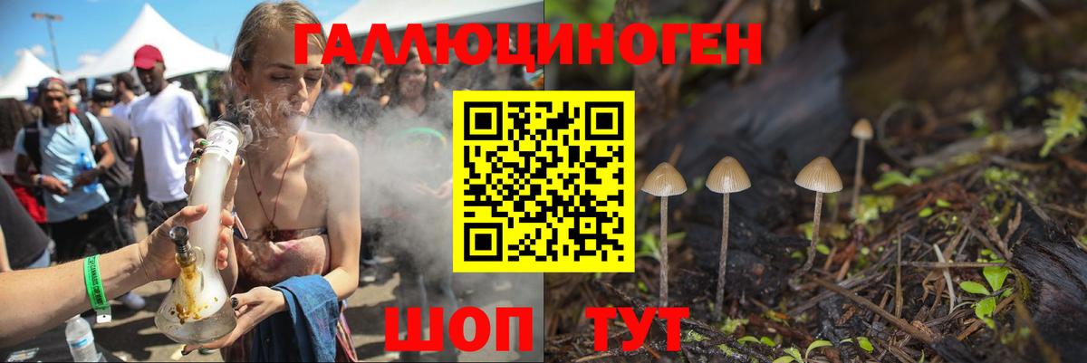 Галлюциногенные грибы Psilocybine cubensis Кумертау